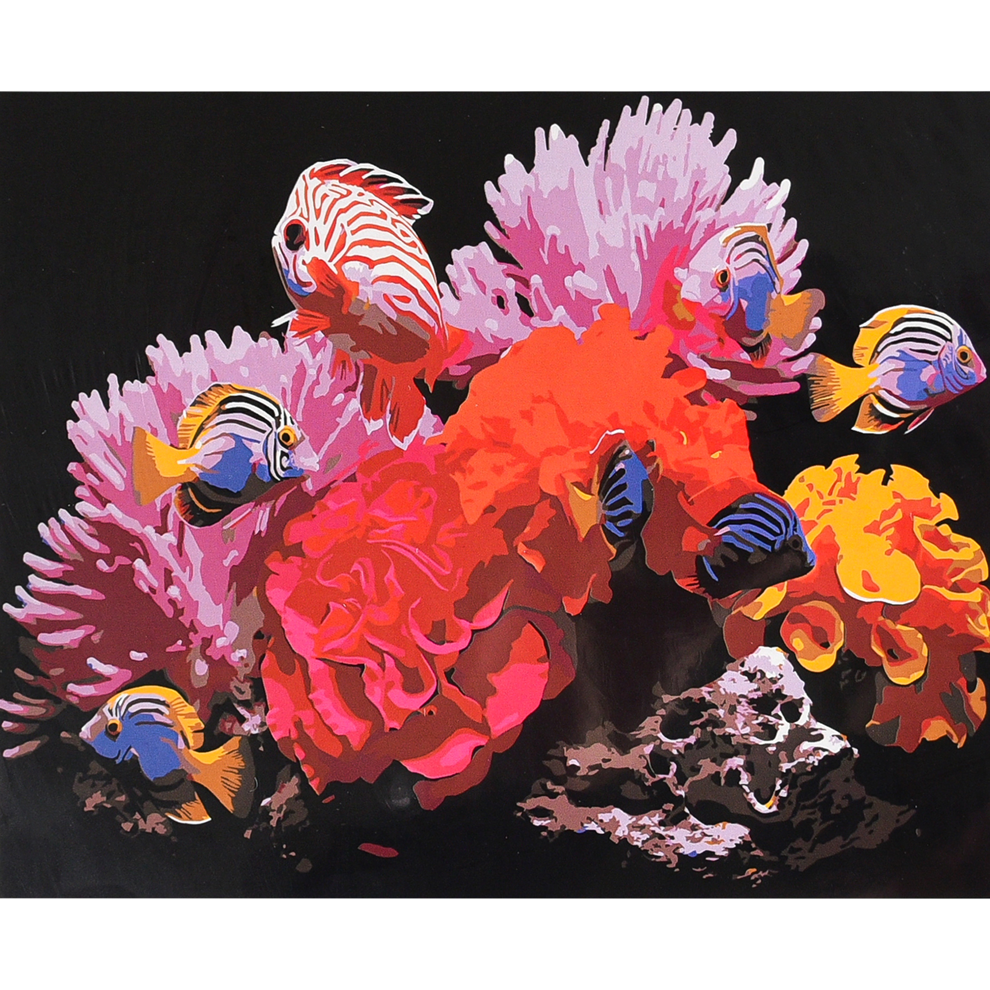 Кораловий риф на чорному фоні (AH1316)