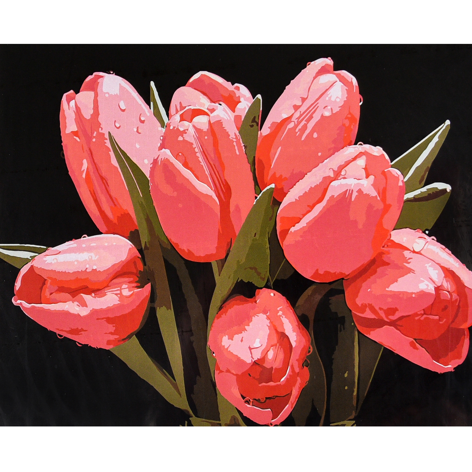 Тюльпани в росі на чорному фоні (AH1320)