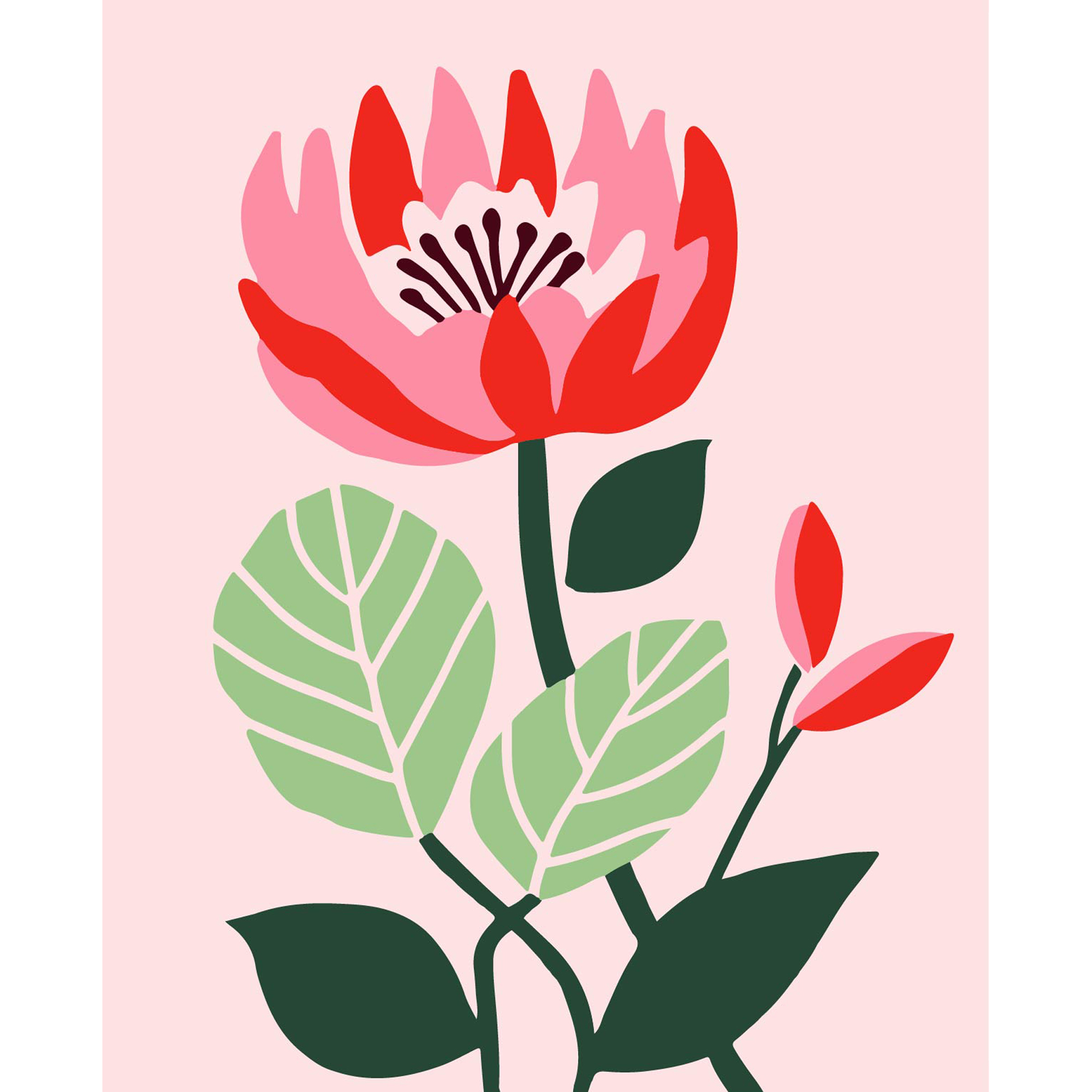 Teppichstickerei-Set Pink Peony 25x30 (CCX2530-1)